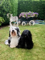 Chanel and Sjaakie in Holland